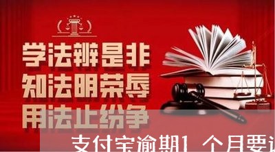 支付宝逾期1个月要调查 支付宝逾期1个月要调查