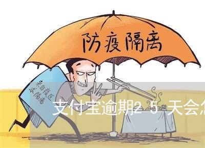 支付宝逾期25天会怎么样