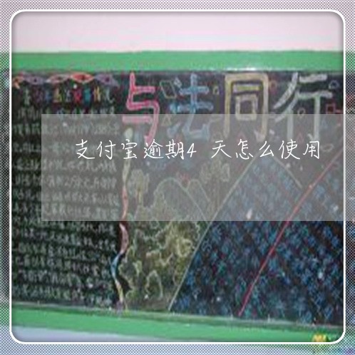支付宝逾期4天怎么使用