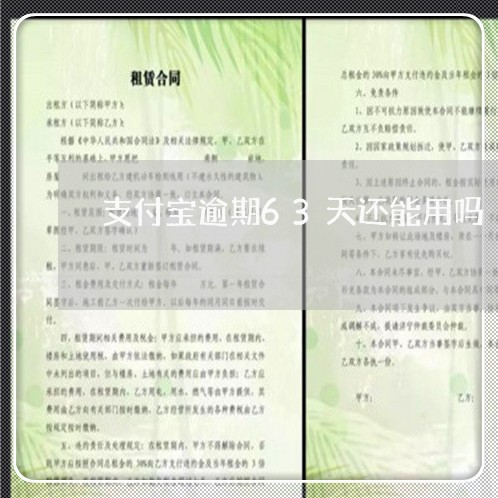 支付宝逾期63天还能用吗 支付宝逾期63天还能用吗