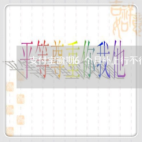 支付宝逾期6个月补上行不行