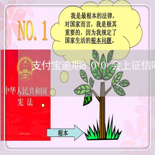 支付宝逾期800会上征信吗 支付宝逾期800会上征信吗