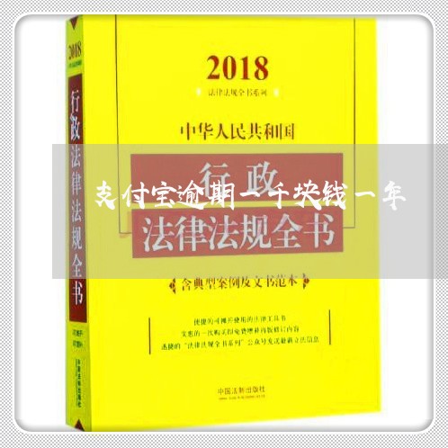 支付宝逾期一千块钱一年/2023120984803