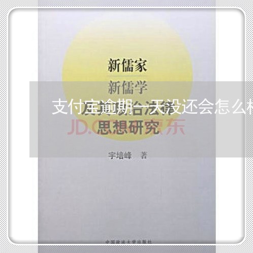 支付宝逾期一天没还会怎么样 支付宝逾期一天没还会怎么样