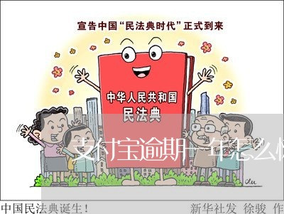 支付宝逾期一年怎么恢复芝麻信用