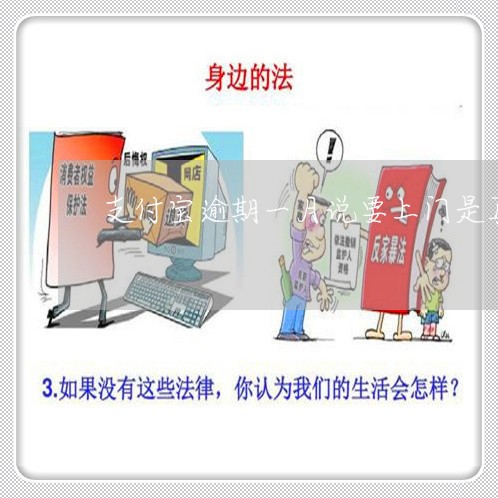 支付宝逾期一月说要上门是真的吗/2023022814158