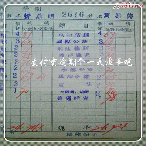 支付宝逾期个一天没事吧