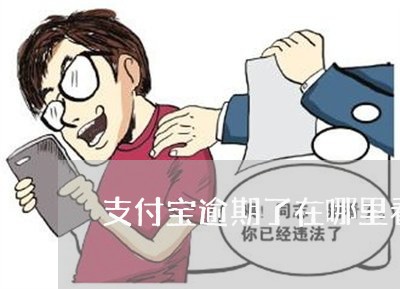 支付宝逾期了在哪里看合同 支付宝逾期了在哪里看合同