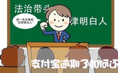 支付宝逾期了如何还花呗/2023061939360