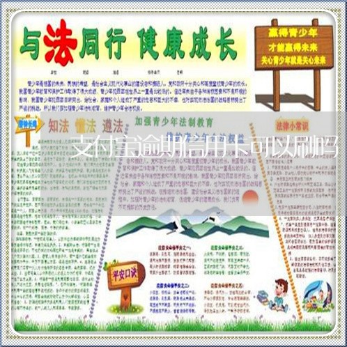 支付宝逾期信用卡可以刷吗/2023060146251 支付宝逾期信用卡可以刷吗/2023060146251