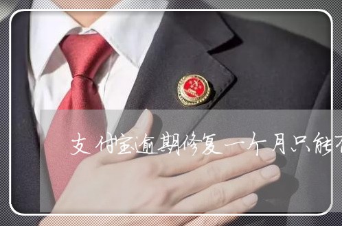 支付宝逾期修复一个月只能有一次机会/2023121561683