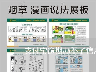 支付宝逾期办不了信用卡吗/2023060716147