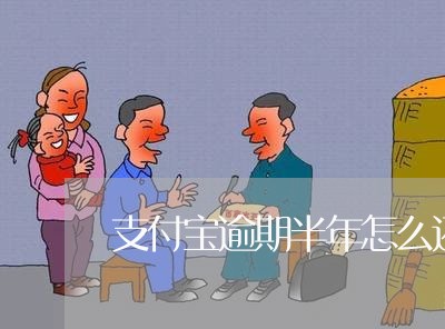 支付宝逾期半年怎么还比较好