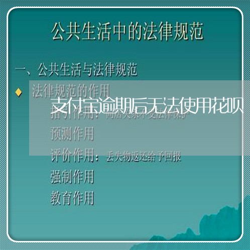 支付宝逾期后无法使用花呗/2023100804934