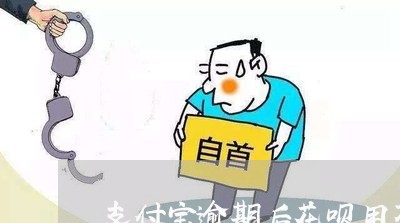 支付宝逾期后花呗用不了了/2023022713937 支付宝逾期后花呗用不了了/2023022713937