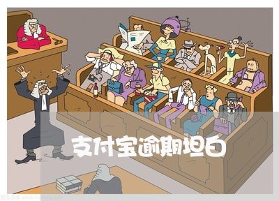 支付宝逾期坦白