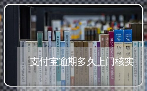 支付宝逾期多久上门核实