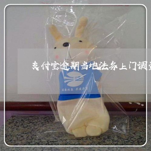 支付宝逾期当地法务上门调查取证
