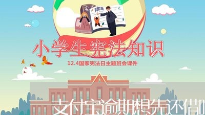 支付宝逾期想先还借呗/2023031863715