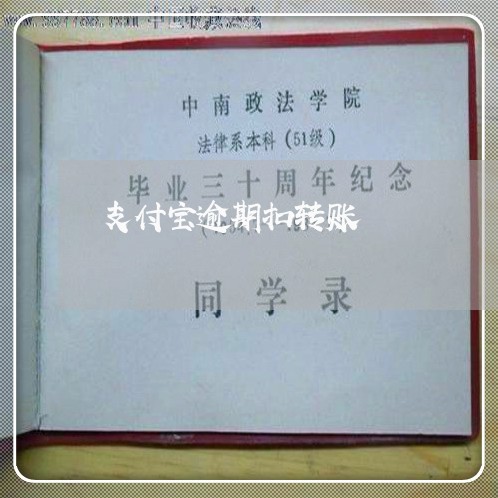 支付宝逾期扣转账