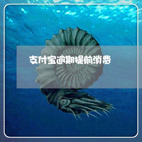 支付宝逾期提前消费