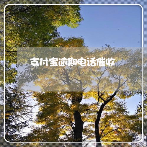 支付宝逾期电话催收