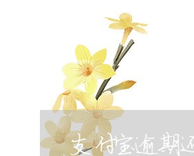支付宝逾期还款后怎么提升信用 支付宝逾期还款后怎么提升信用