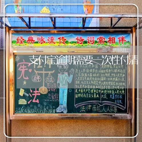 支付宝逾期需要一次性付清