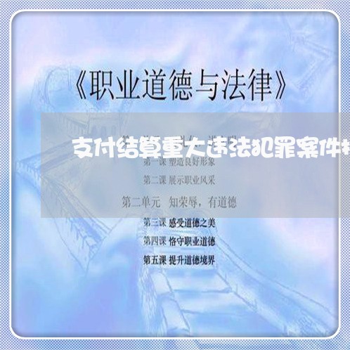 支付结算重大违法犯罪案件报告 支付结算重大违法犯罪案件报告