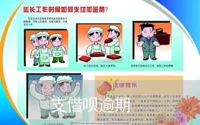支借呗逾期 支借呗逾期