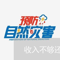 收入不够还网贷怎么办贷款/2023111549492