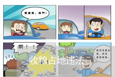 收粮占地违法