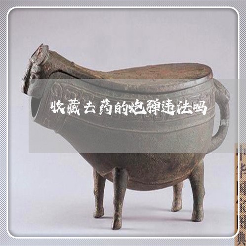 收藏去药的炮弹违法吗