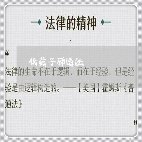 收藏子弹违法
