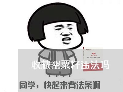 收藏罂粟籽违法吗