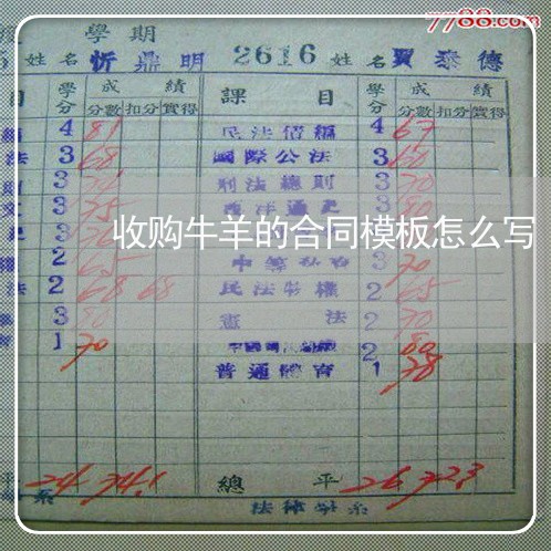 收购牛羊的合同模板怎么写 收购牛羊的合同模板怎么写