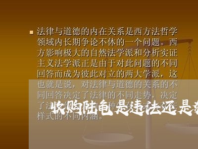 收购陆龟是违法还是犯罪