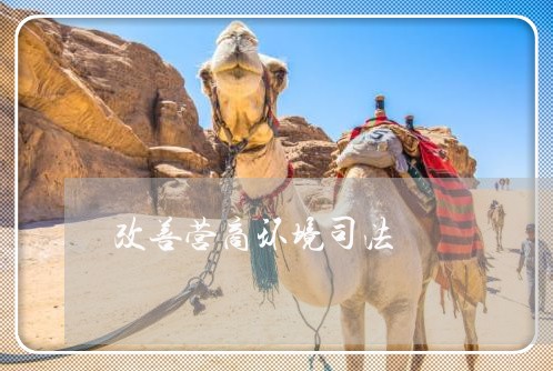 改善营商环境司法