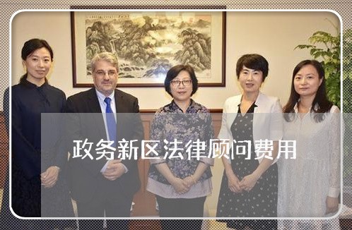 政务新区法律顾问费用/2023061738684