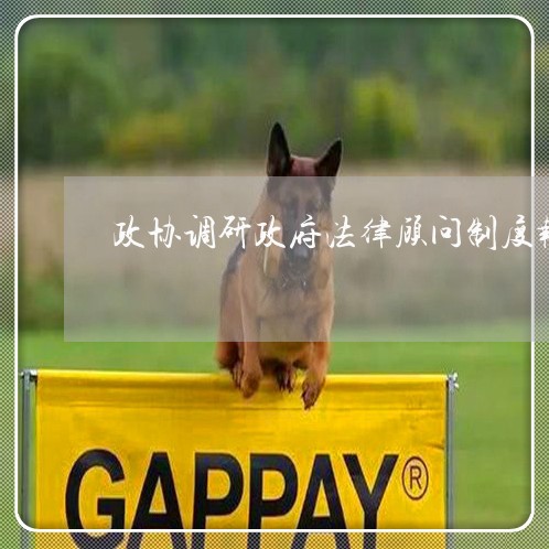 政协调研政府法律顾问制度报告 政协调研政府法律顾问制度报告