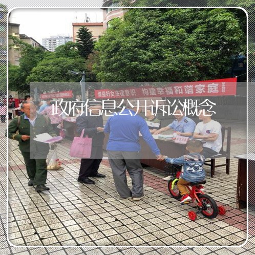 政府信息公开诉讼概念