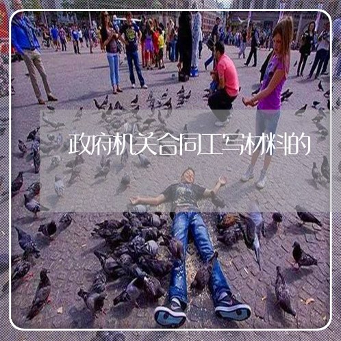 政府机关合同工写材料的/2023060682046 政府机关合同工写材料的/2023060682046