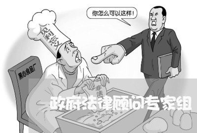 政府法律顾问专家组/2023061882705 政府法律顾问专家组/2023061882705