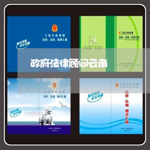 政府法律顾问云南/2023061763694