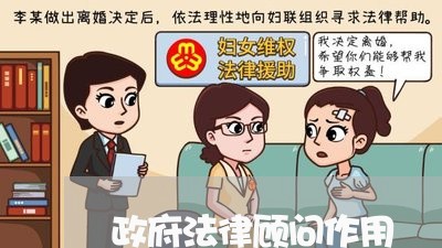 政府法律顾问作用/2023061650582