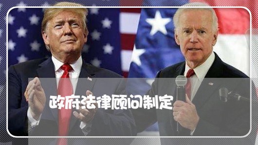 政府法律顾问制定 政府法律顾问制定