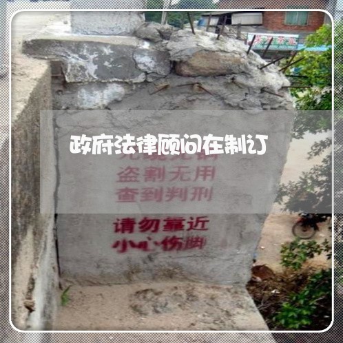 政府法律顾问在制订/2023061609614