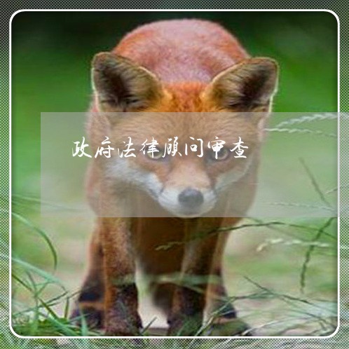 政府法律顾问审查 政府法律顾问审查