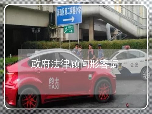 政府法律顾问形容词/2023061837360