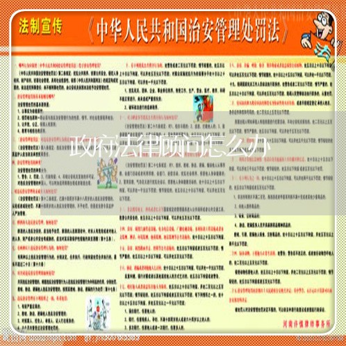 政府法律顾问怎么办 政府法律顾问怎么办